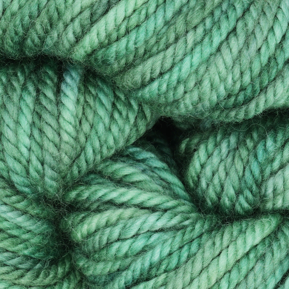 Skein of variegated Club Moss Light rug weight punch needle wool yarn