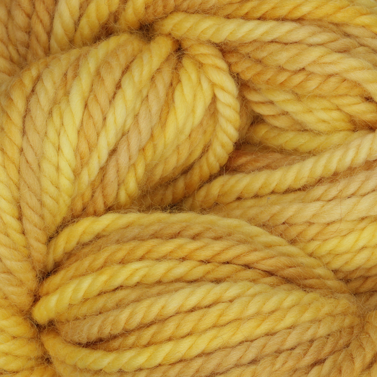 Skein of variegated Lemon Zest rug weight punch needle wool yarn