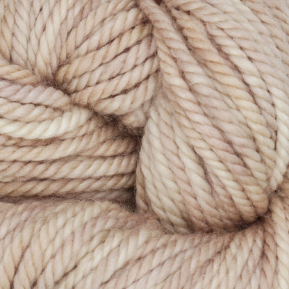 Skein of variegated Tumble Weed punch needle rug yarn