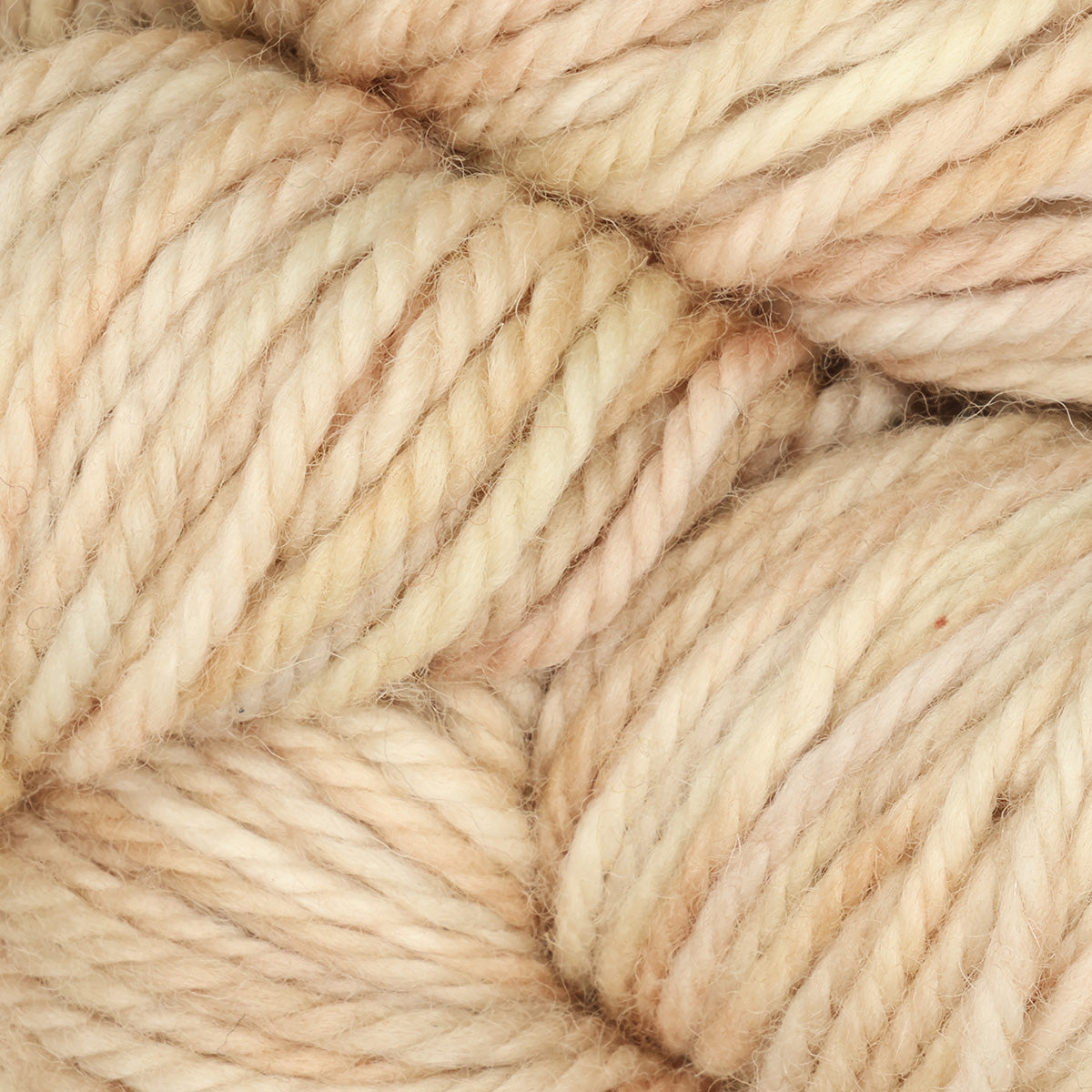 Skein of variegated Tumble Weed fine weight punch needle wool yarn