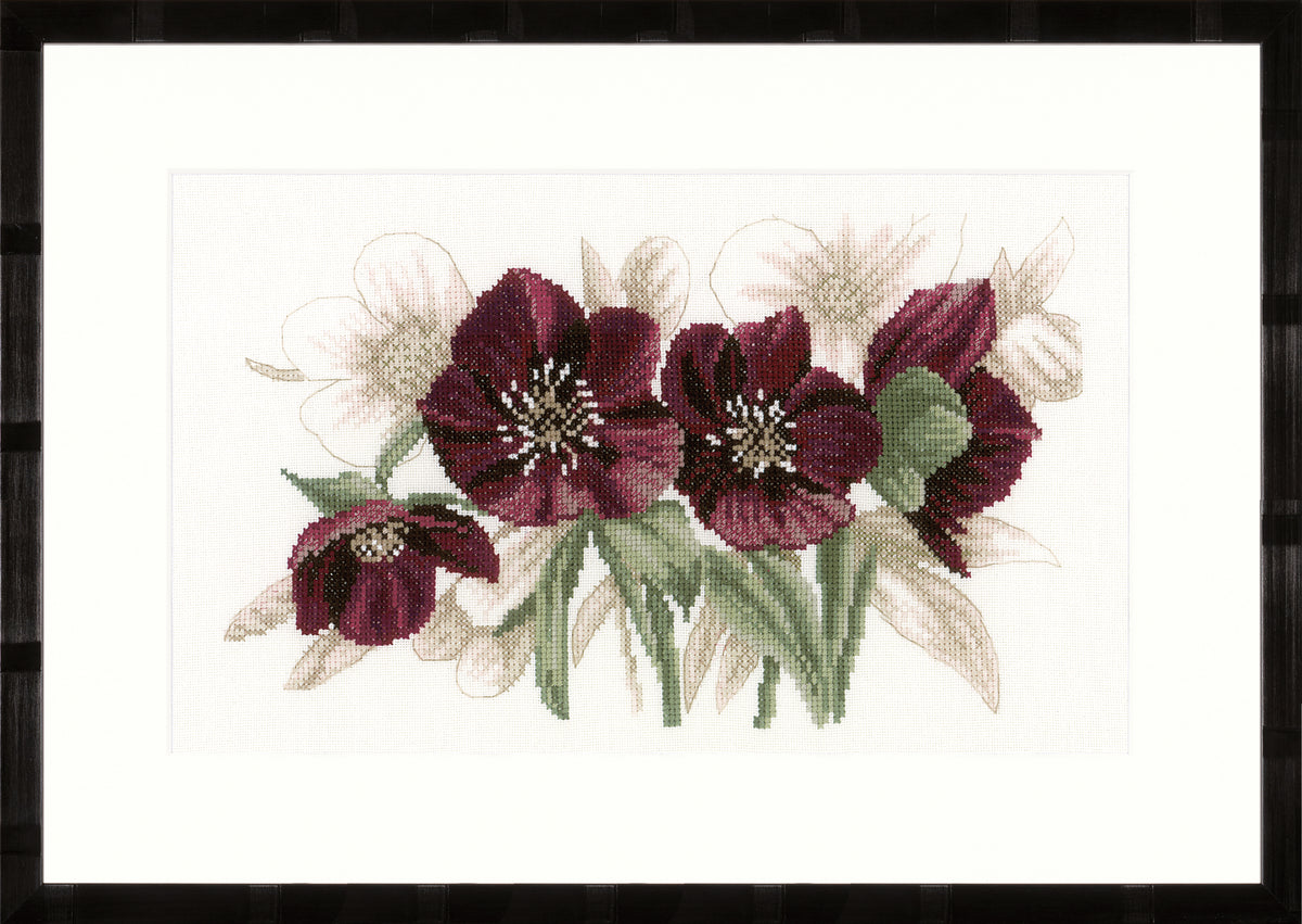 Cross stitch of white and pink hellebore flowers