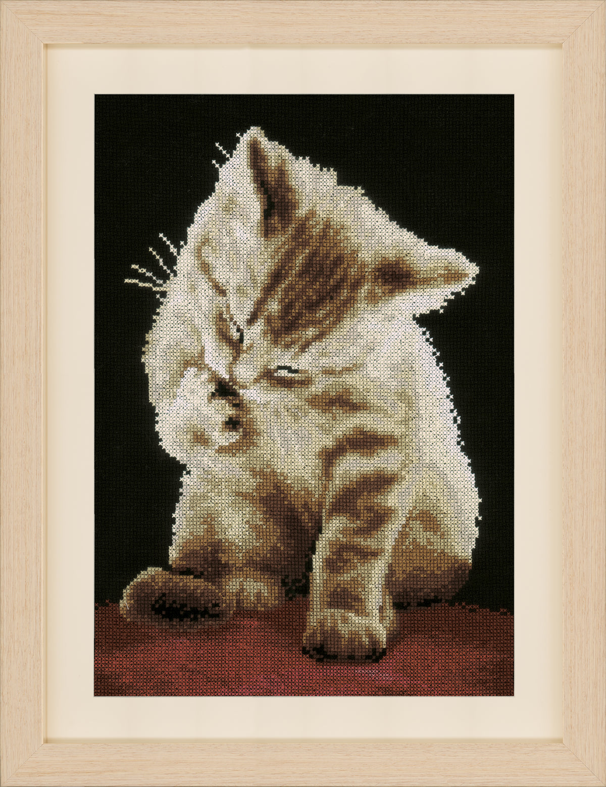 Cross stitch kitten portrait on black aida