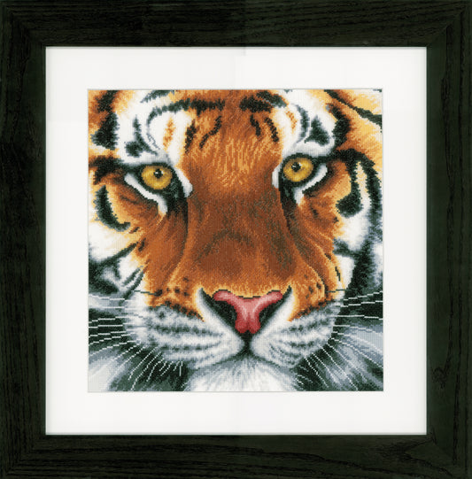 Tiger on Aida counted cross stitch kit by Lanarte
