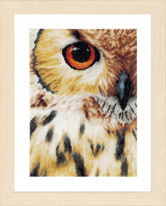 Tawny owl counted cross stitch design