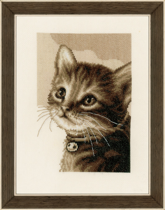Vervaco kitten counted cross stitch kit