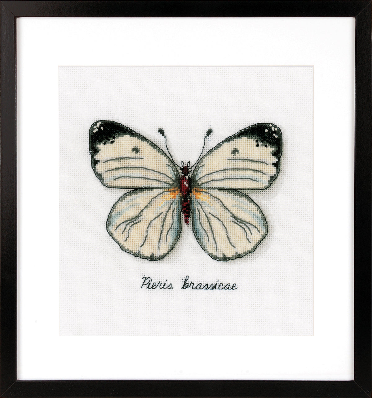 Vervaco White Butterfly cross stitch kit showing a white butterfly