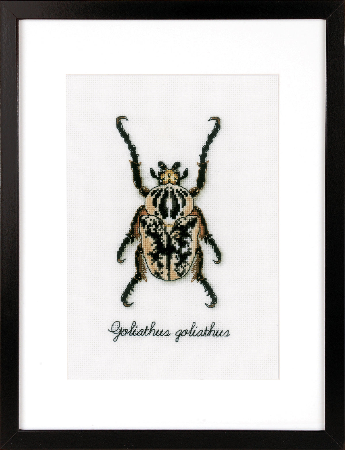 Vervaco Beige Beetle cross stitch kit showing a beige beetle