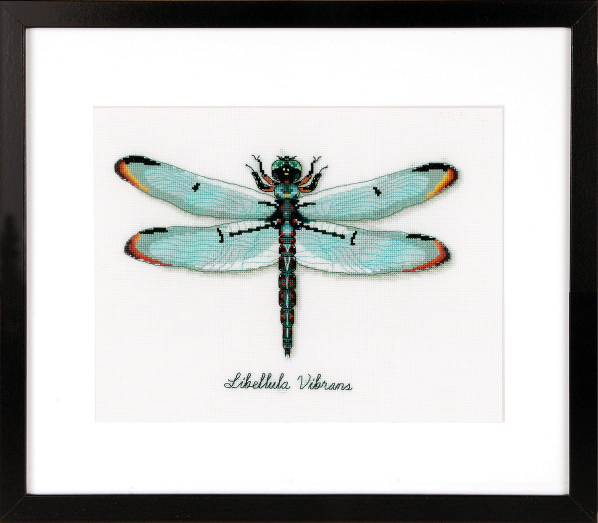 Vervaco Dragonfly cross stitch kit showing a dragonfly