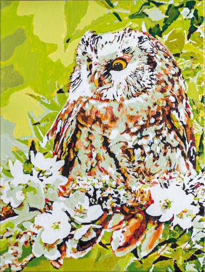 Painted picture of an owl and a gnome