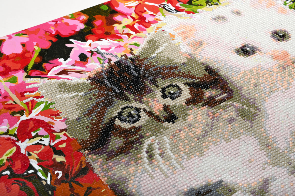 Cats in Flowerpot paint by numbers and diamond painting picture