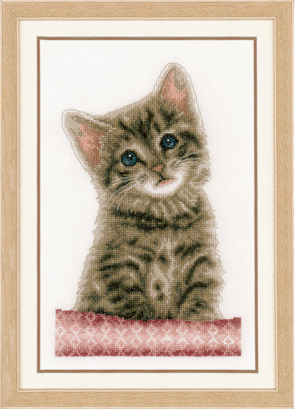 Cross stitch picture of a cat