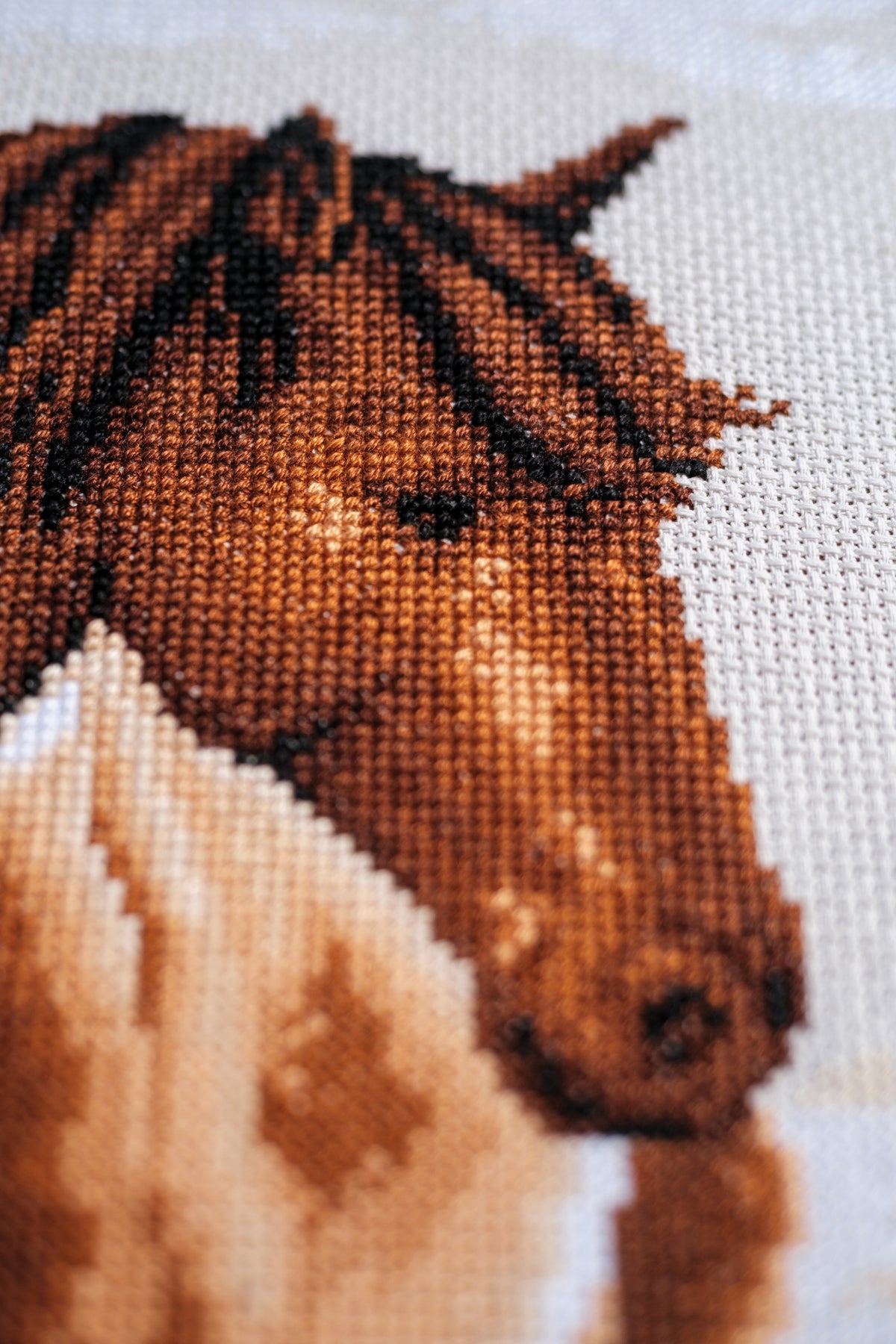 Vervaco Horse counted cross stitch kit showing the finished design