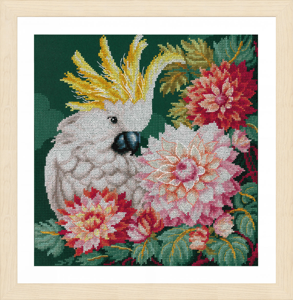 Cockatoo with dahlias counted cross stitch design