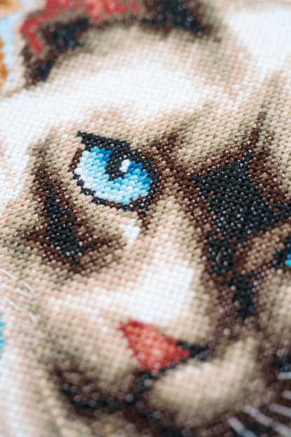 Cross stitch picture of a Siamese cat