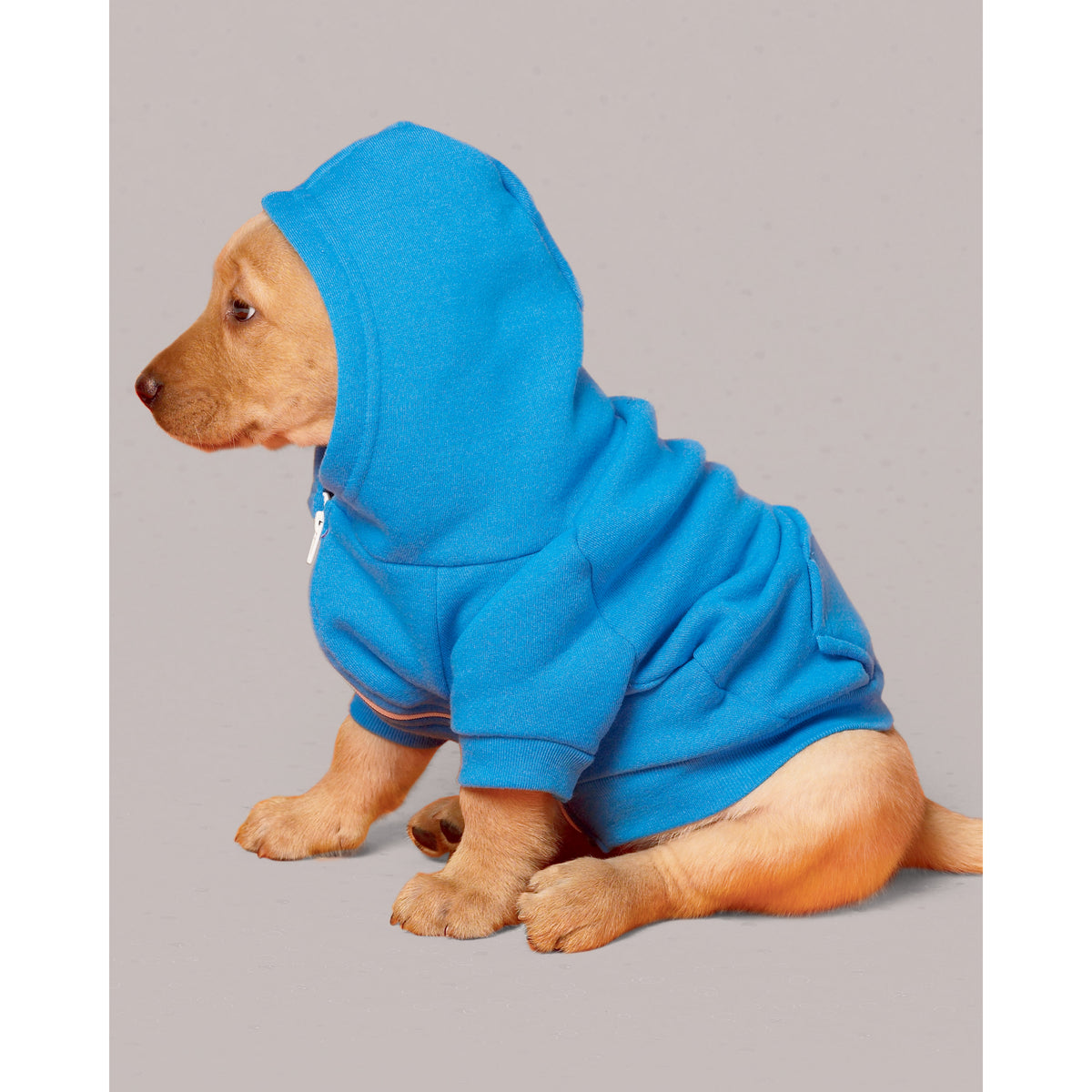 Simplicity S9532 pattern envelope showing sporty pet clothes