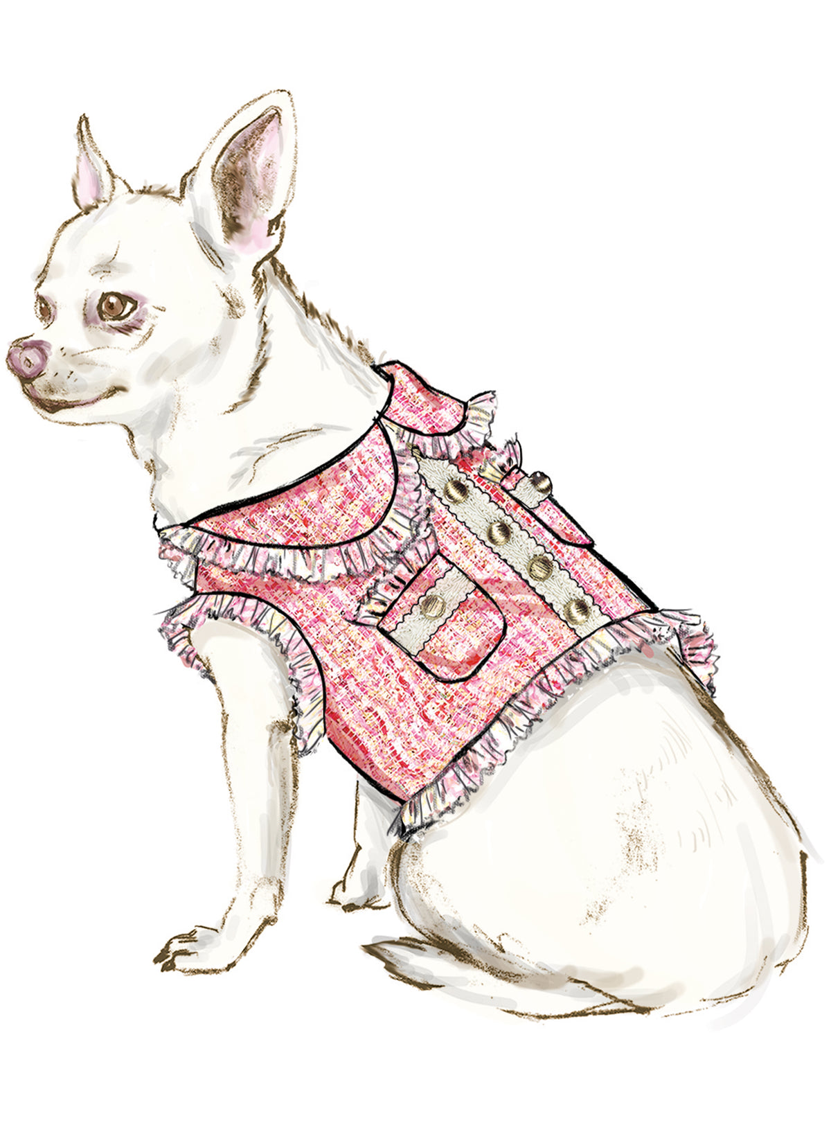 Simplicity S9970 sewing pattern envelope showing pet clothing