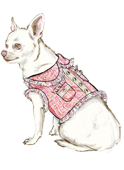 Simplicity S9970 sewing pattern envelope showing pet clothing