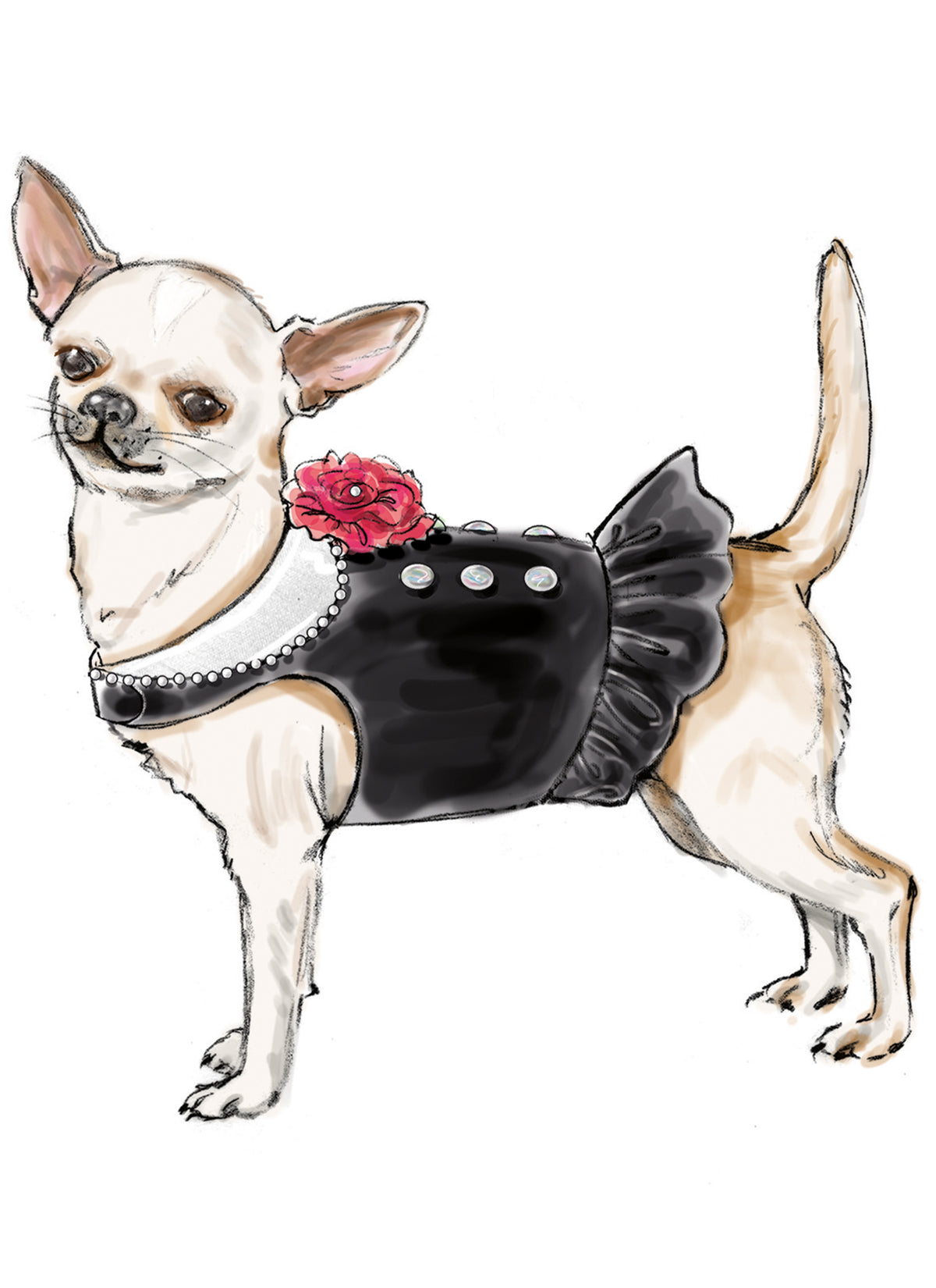 Simplicity S9970 sewing pattern envelope showing pet clothing
