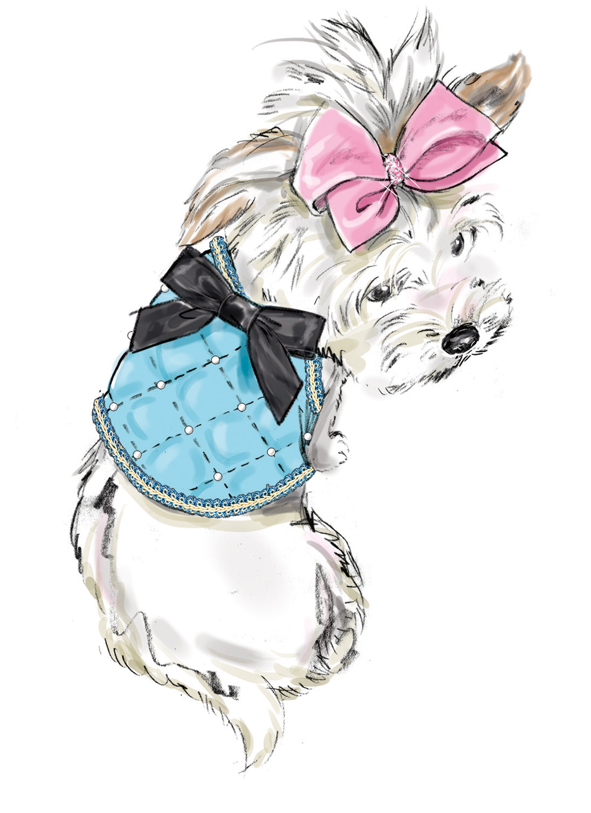 Simplicity S9970 sewing pattern envelope showing pet clothing