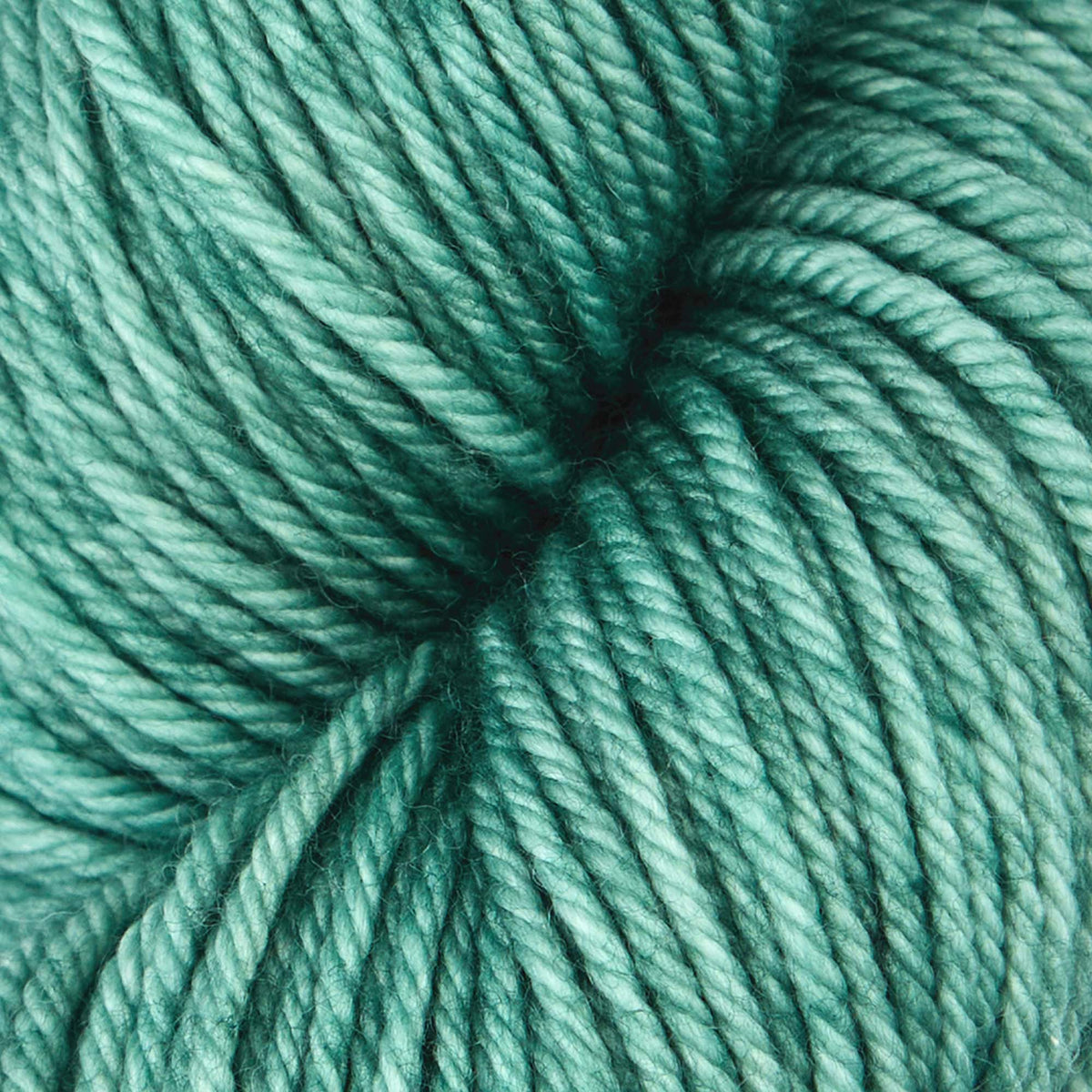 Skein of Symfonie Bella semi-solid merino yarn in Sage