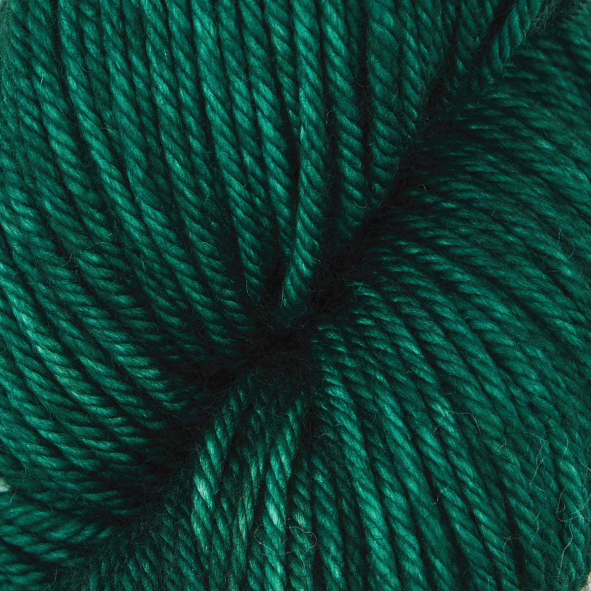 Skein of deep emerald Bella merino worsted yarn