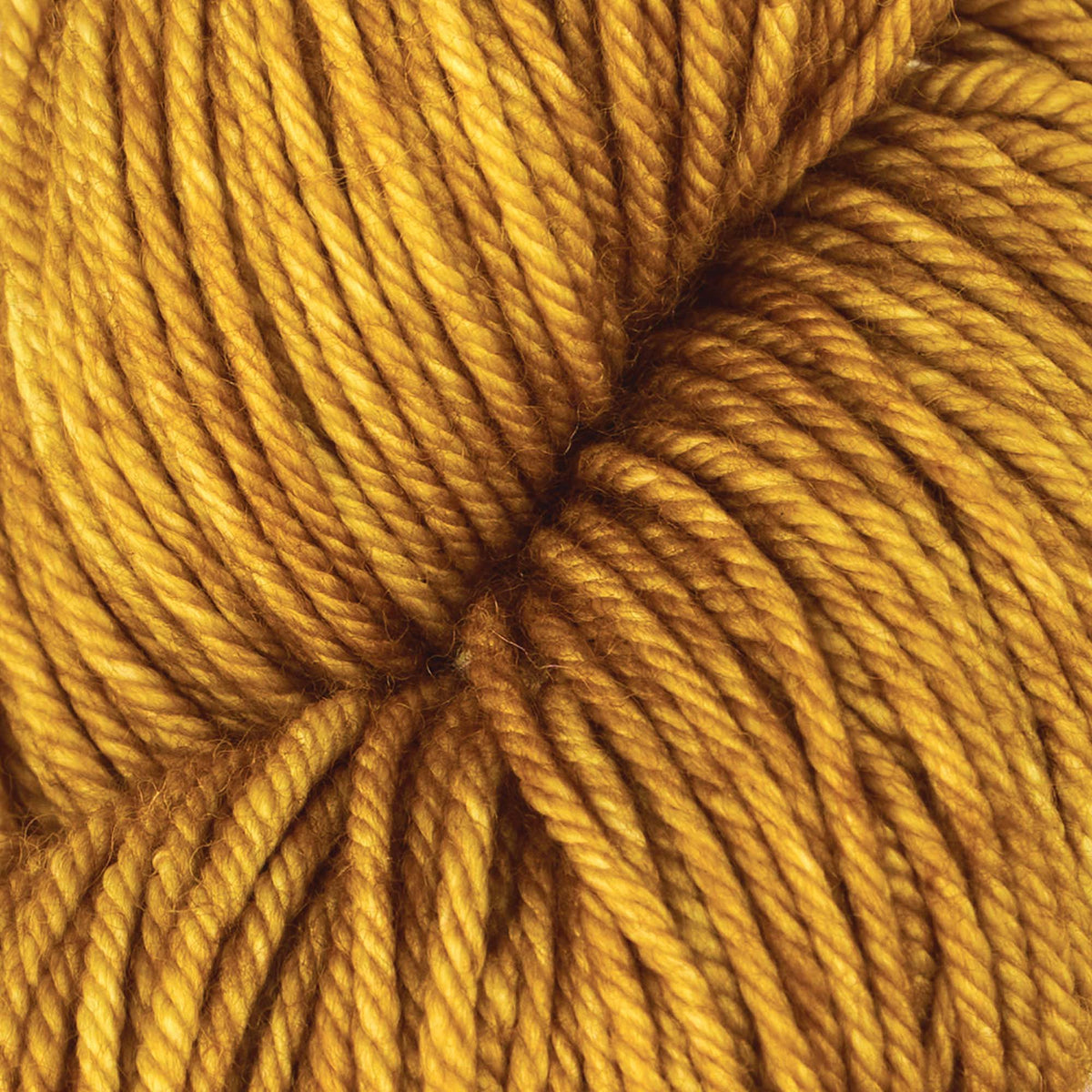 Skein of Symfonie Bella semi-solid merino yarn in Spicy Mustard