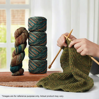 Skein of Symfonie Bella variegated merino yarn in Himalayas