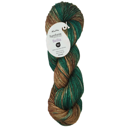 Skein of Symfonie Bella variegated merino yarn in Himalayas
