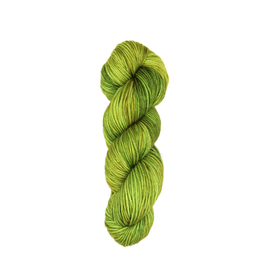 Skein of Symfonie Bella variegated merino yarn in Macha