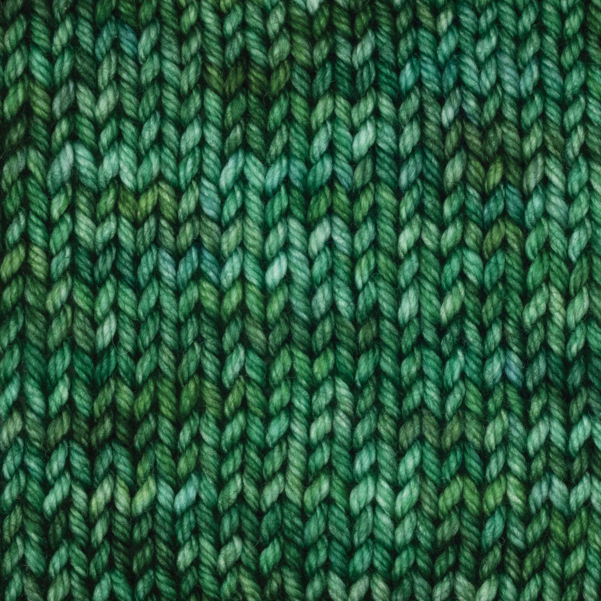 Skein of Symfonie Bella variegated merino yarn in Fernfall