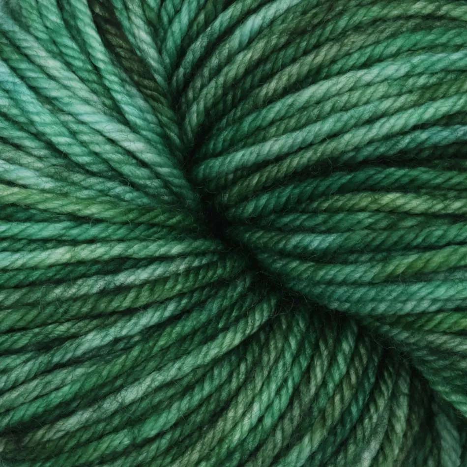 Skein of Symfonie Bella variegated merino yarn in Fernfall