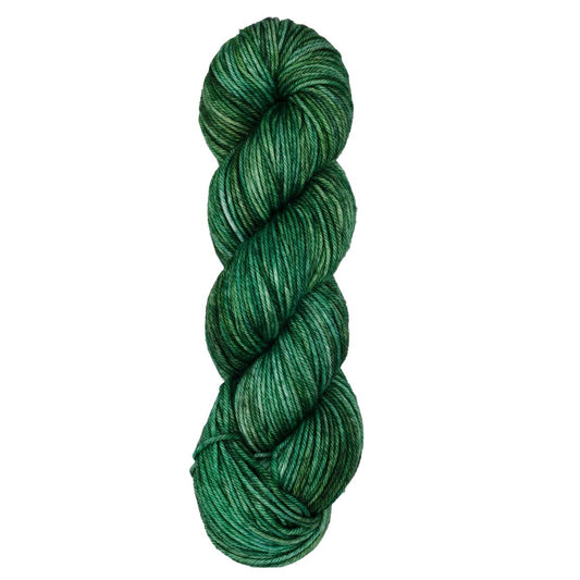 Skein of Symfonie Bella variegated merino yarn in Fernfall