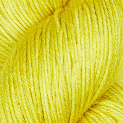 100g skein of Symfonie Terra yarn in Citrus