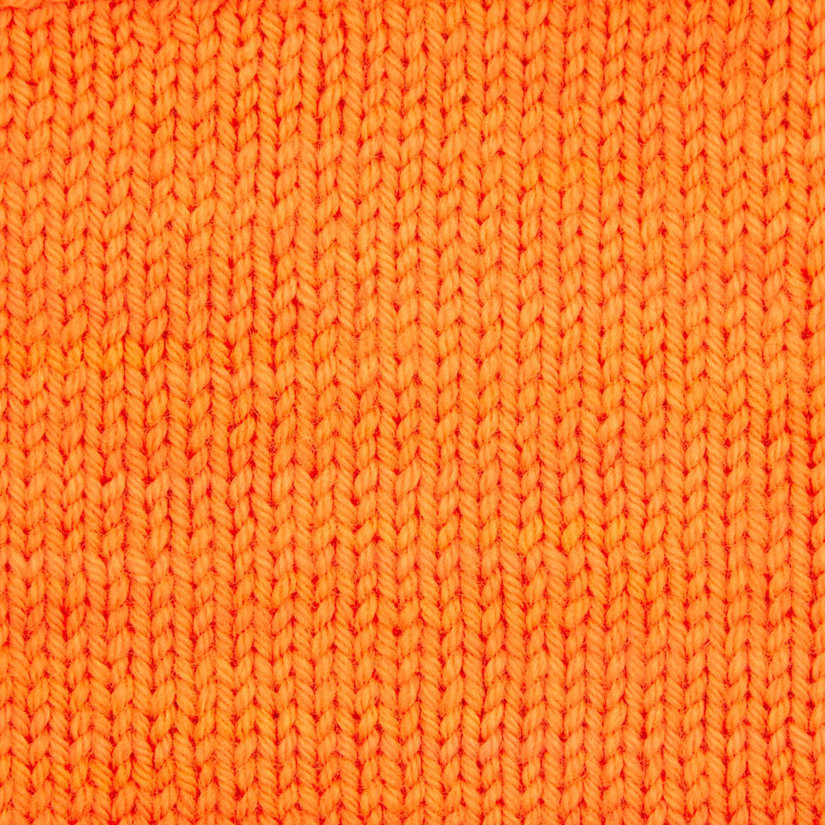 Skein of Symfonie Yarns Terra sock yarn in Zap