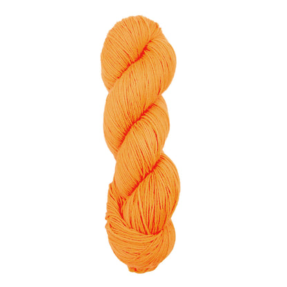 Skein of Symfonie Yarns Terra sock yarn in Zap