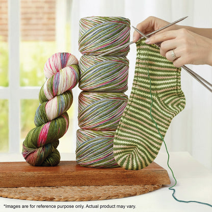 Skein of Symfonie Terra sock yarn in Summer Romance