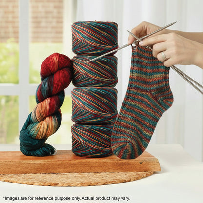 Skein of Symfonie Terra sock yarn in Old Delhi