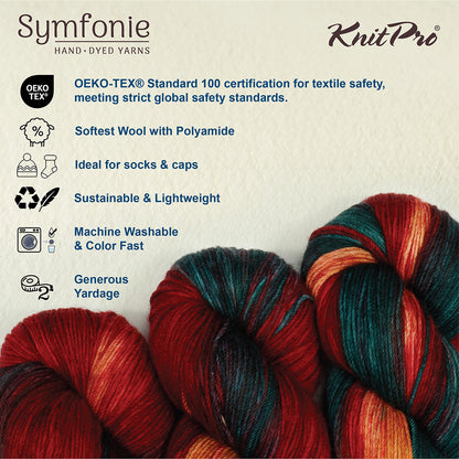 Skein of Symfonie Terra sock yarn in Old Delhi