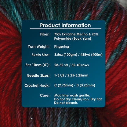 Skein of Symfonie Terra sock yarn in Old Delhi