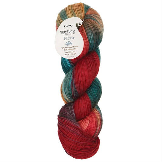 Skein of Symfonie Terra sock yarn in Old Delhi