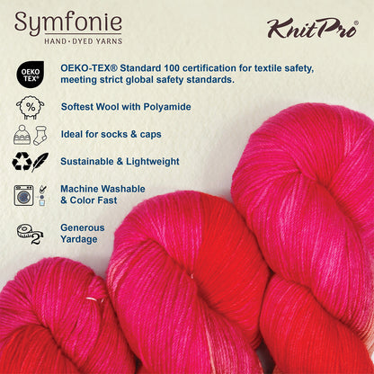 Skein of Symfonie Terra sock yarn in Rhubarb