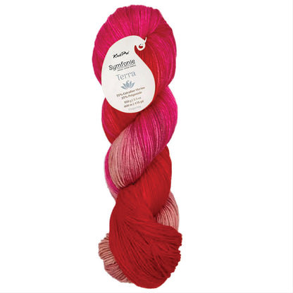 Skein of Symfonie Terra sock yarn in Rhubarb