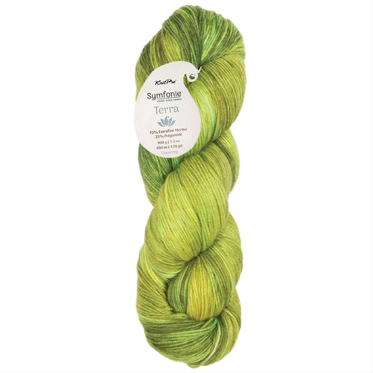 Skein of Symfonie Terra sock yarn in Macha