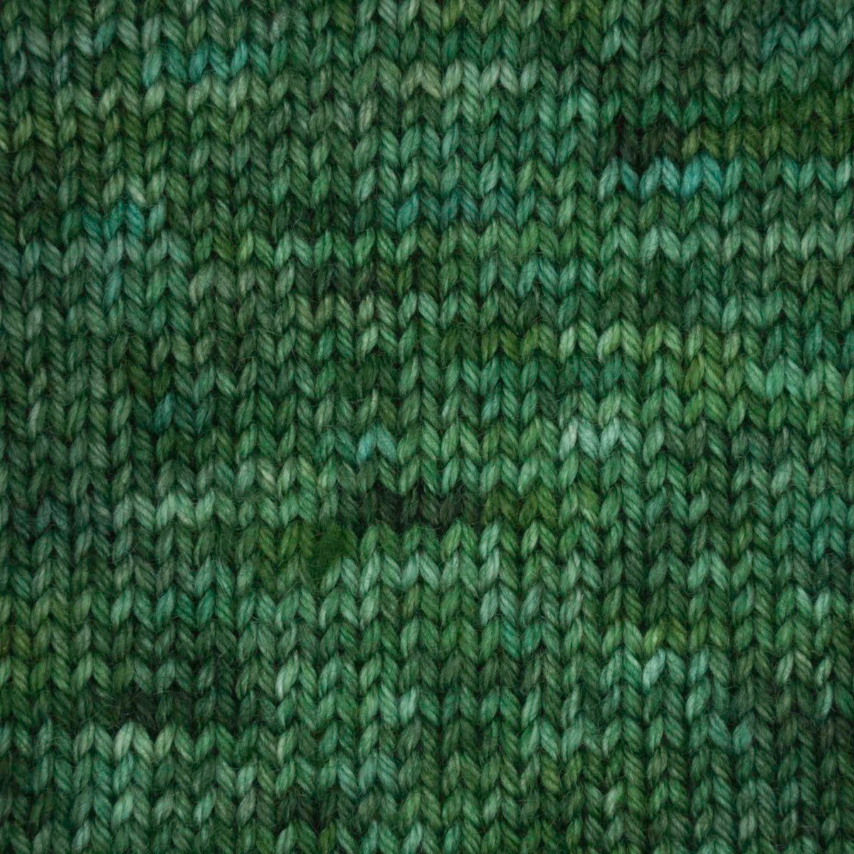 Skein of Symfonie Yarns Terra sock yarn in Fernfall