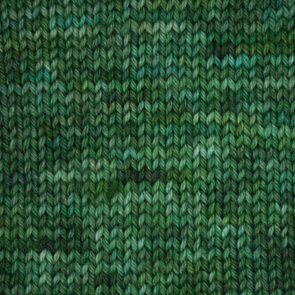 Skein of Symfonie Yarns Terra sock yarn in Fernfall