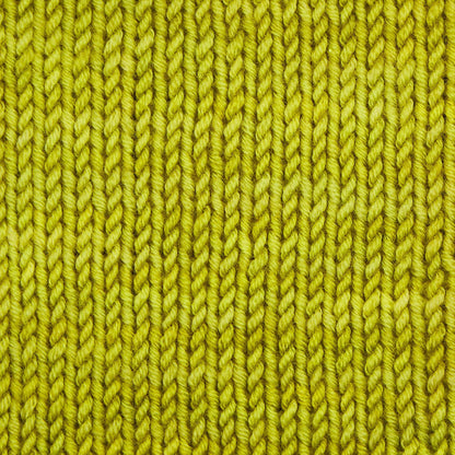 Skein of Symfonie Viva DK merino yarn in Pistachio