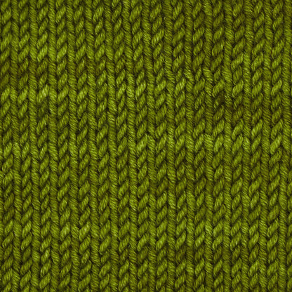 Skein of Symfonie Viva DK merino yarn in Rain Forest