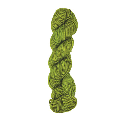 Skein of Symfonie Viva DK merino yarn in Rain Forest