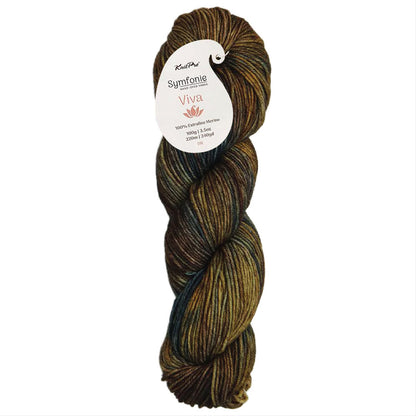 Skein of Symfonie Viva merino DK yarn in Wilderness shade