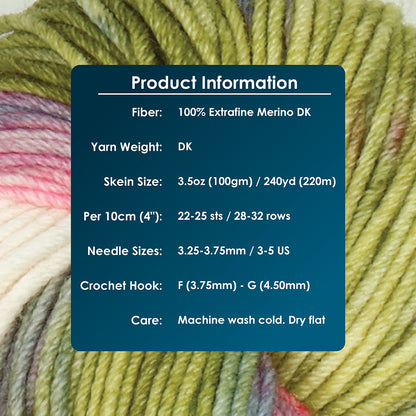Skein of Symfonie Viva DK merino yarn in Summer Romance